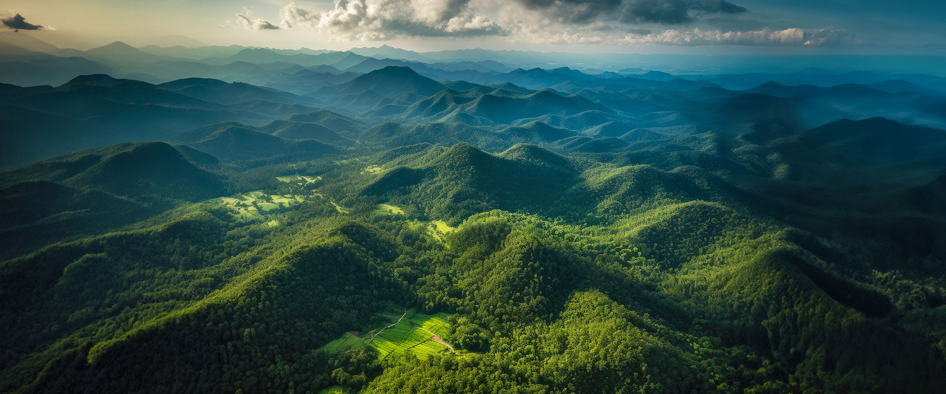 One Company Many Specialists